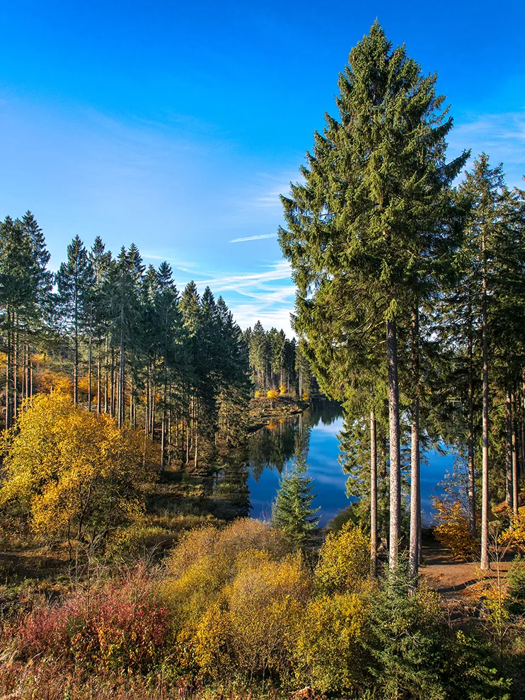 Naturcampingplatz-Harz-Kreuzeck-am-See-Herbststimmung