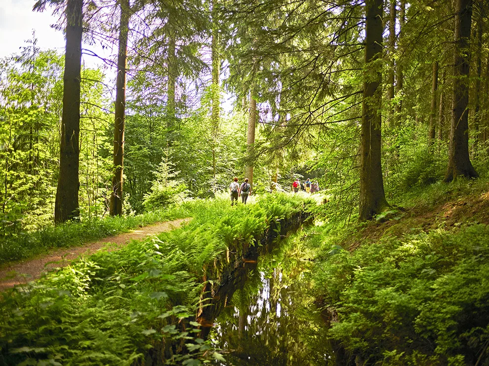 Naturcampingplatz Harz Kreuzeck Unesco Welterbe Goslar Kaiserpfalz