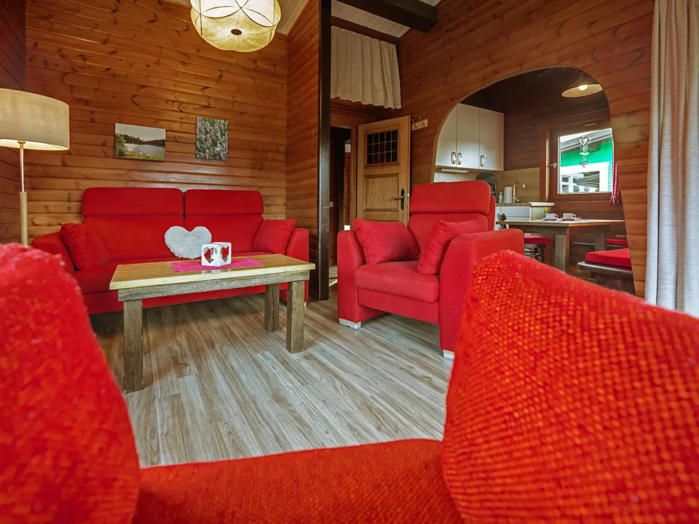 Naturcamping-Harz-am-See-Ferienhaus-Wohnzimmer