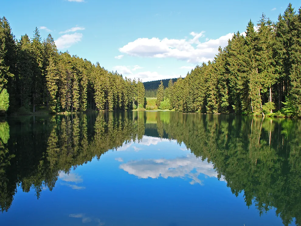 Naturcamping-Harz-am-See-Wandern-Wanderwege-Oberharzer-Wasserwirtschaft-Teiche