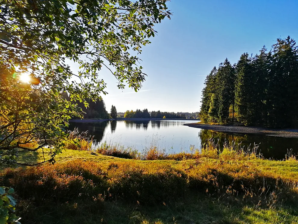 Naturcamping-Harz-See-Wandertour