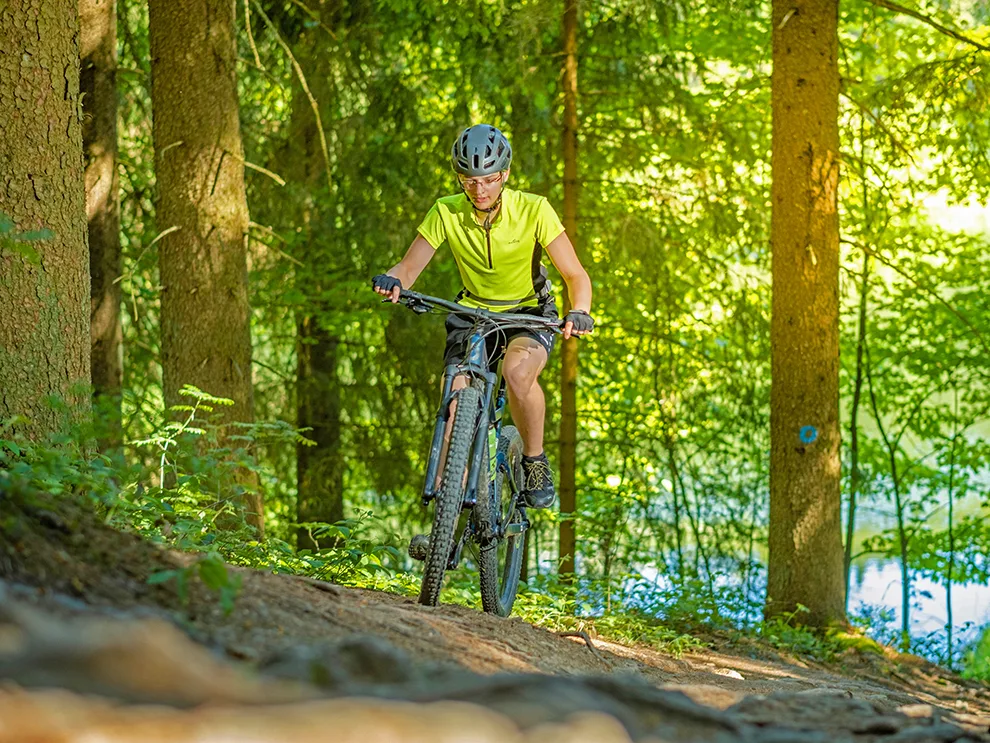 Naturcamping-Harz-am-See-Mountainbiken-Bikepark