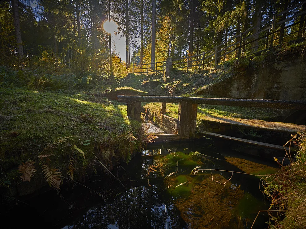 Naturcamping-Harz-am-See-Wandern-Wasserwanderweg