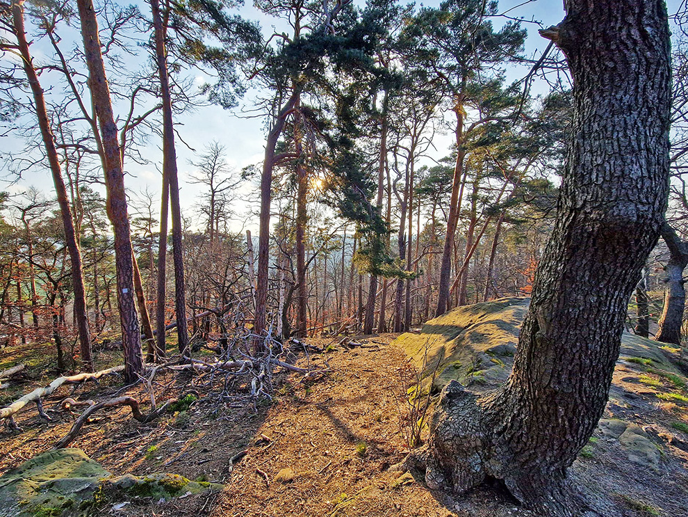 Naturcamping-Harz-am-See-Wandern-Wanderweg-Huebichenstein